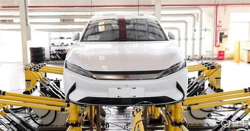 新能車每日快訊 比亞迪與特斯拉動(dòng)態(tài)更新，10月19日二手車交易市場(chǎng)經(jīng)營觀察